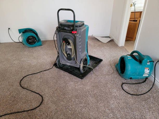 Carpet water damage restoration in NM