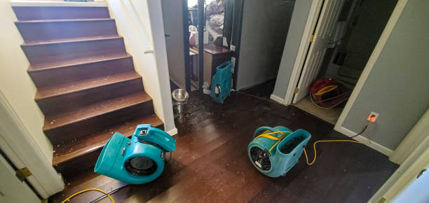 Best Residential water damage restoration  in Los Chaves, NM
