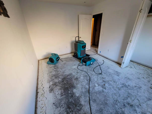 Best Water damage restoration near me  in Los Chaves, NM