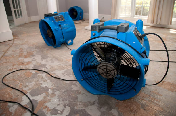 Best Ceiling water damage repair  in Los Chaves, NM