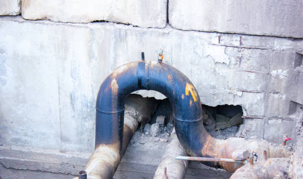 Best Sewage cleanup and water damage restoration  in Los Chaves, NM