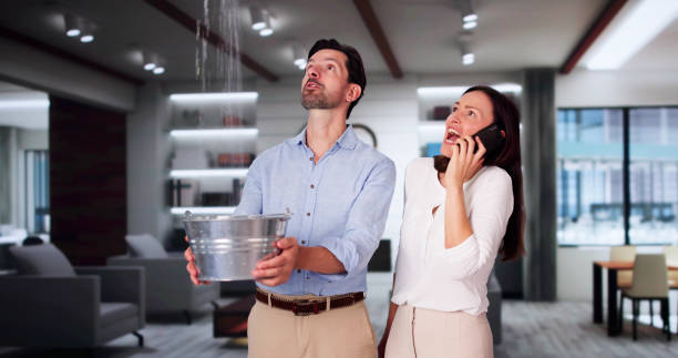 Best Carpet water damage restoration  in Los Chaves, NM